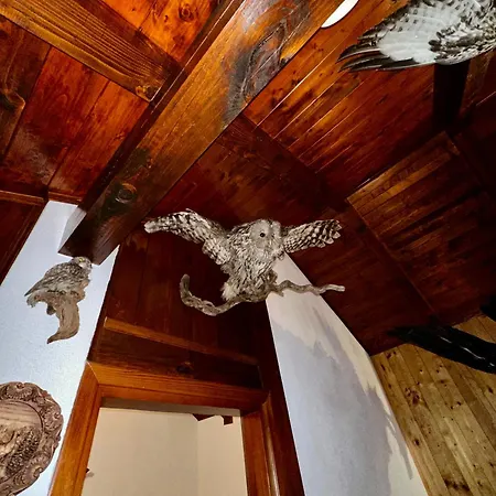 Apartment House Eagle *