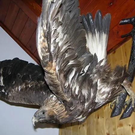 度假居 Holiday House ,,Eagle